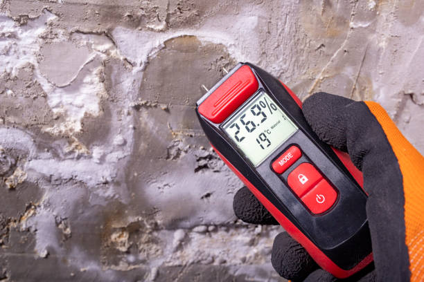 Best Commercial Mold Removal  in Shenandoah, LA
