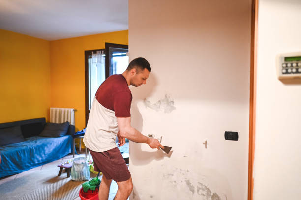 Best Black Mold Removal  in Shenandoah, LA